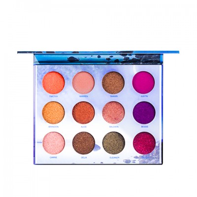 Wholesale High Pigment Matte glitter 12 Color Eyeshadow Palette